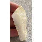 CYTRYN SZPIC NATURALNY