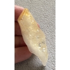 CYTRYN SZPIC NATURALNY