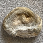 CHALCEDON, RÓŻA CHALCEDONOWA