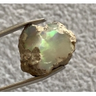 OPAL SUROWY ETIOPIA