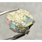 OPAL SUROWY ETIOPIA