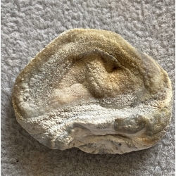 CHALCEDON, RÓŻA CHALCEDONOWA