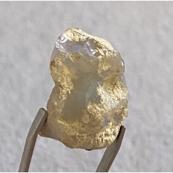 OPAL SUROWY ETIOPIA
