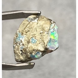 OPAL SUROWY ETIOPIA