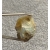 OPAL SUROWY ETIOPIA